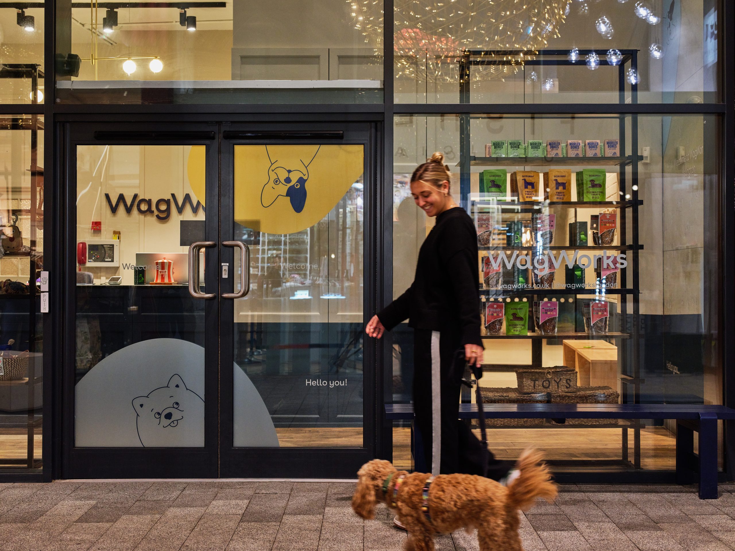 The WagWorks Christmas Gift Guide