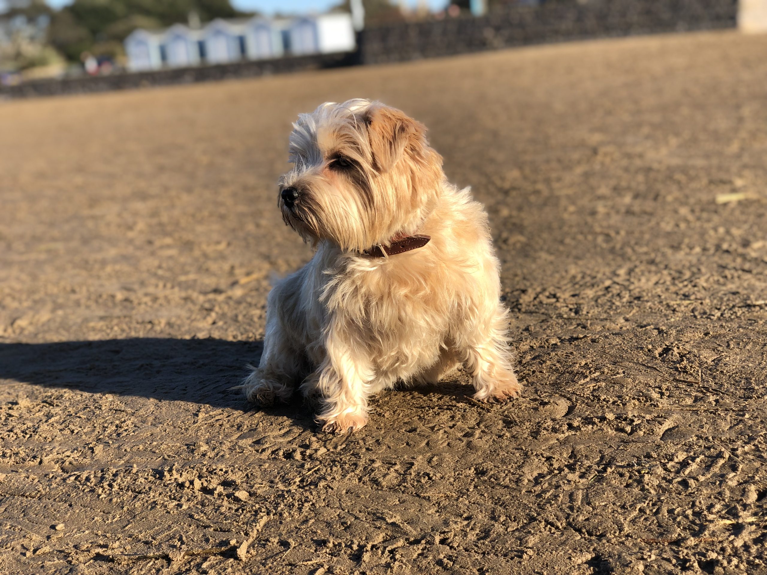 Kiki’s Favourite Weekend Getaways