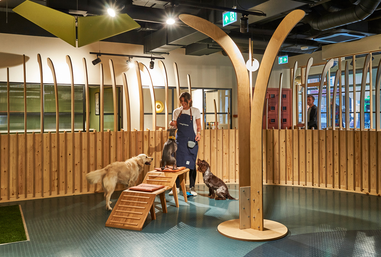 WagWorks space with multiple dogs