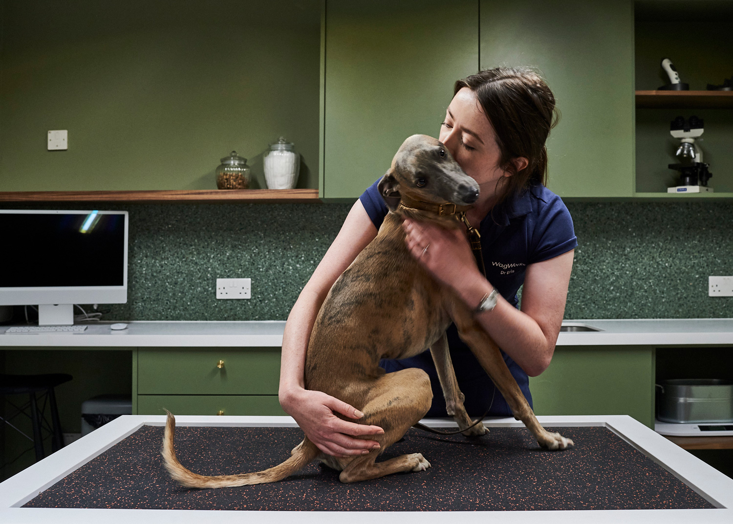 WagWorks vet with a whippet