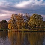 Hampstead Heath, London
