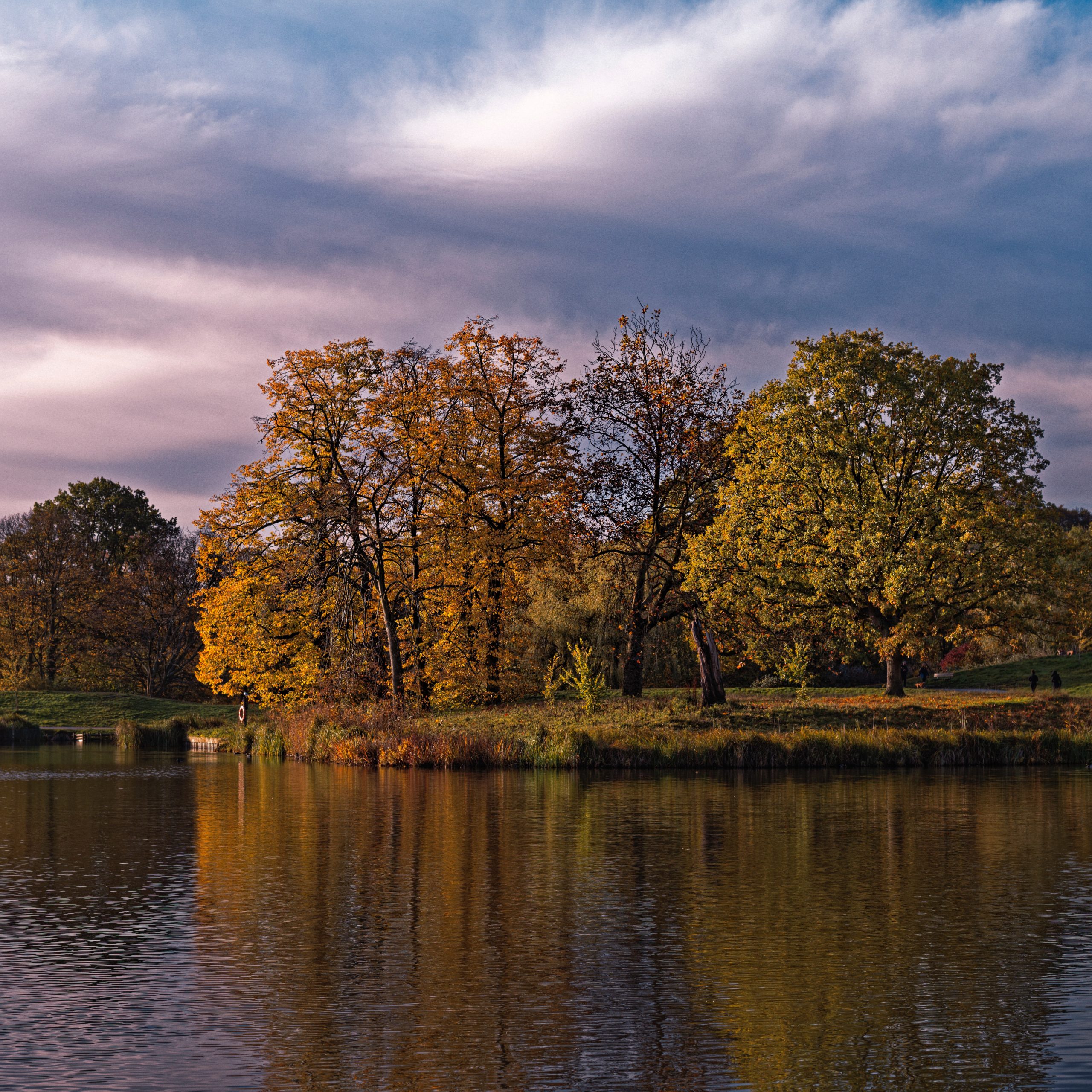 Hampstead Heath, London