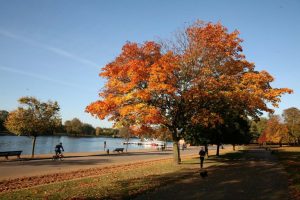Hyde Park, London