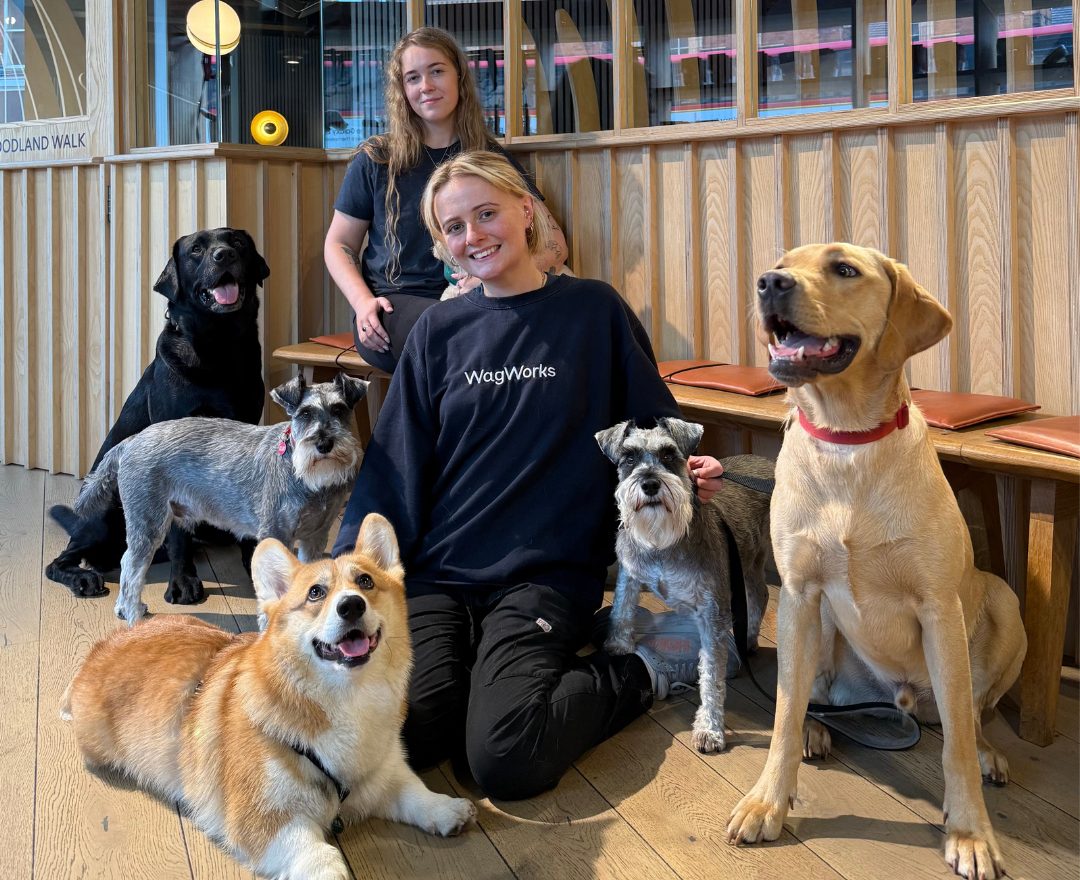 Back to School: Helping Your Dog Adjust to Routine Changes