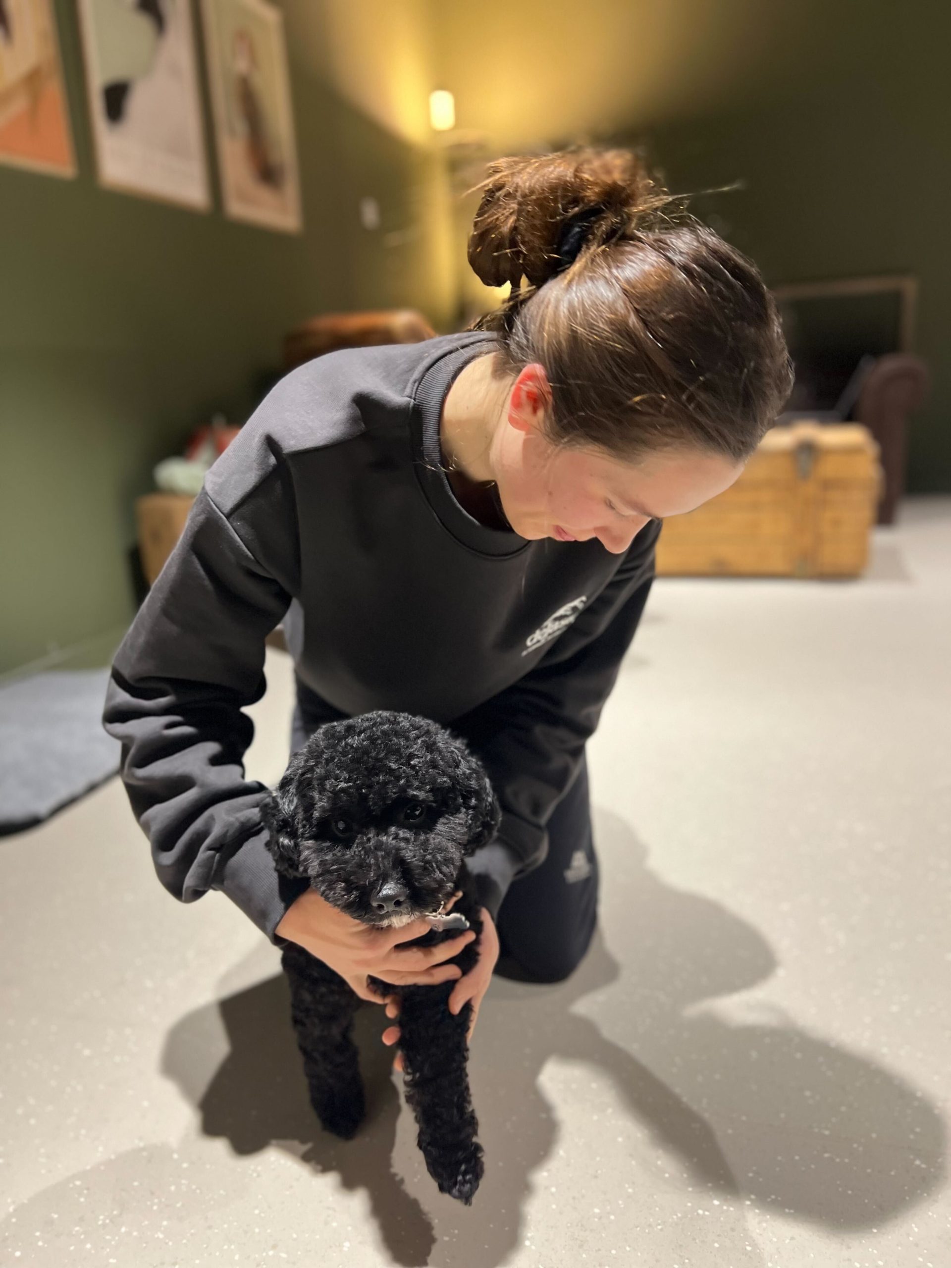 Physiotherapy at WagWorks