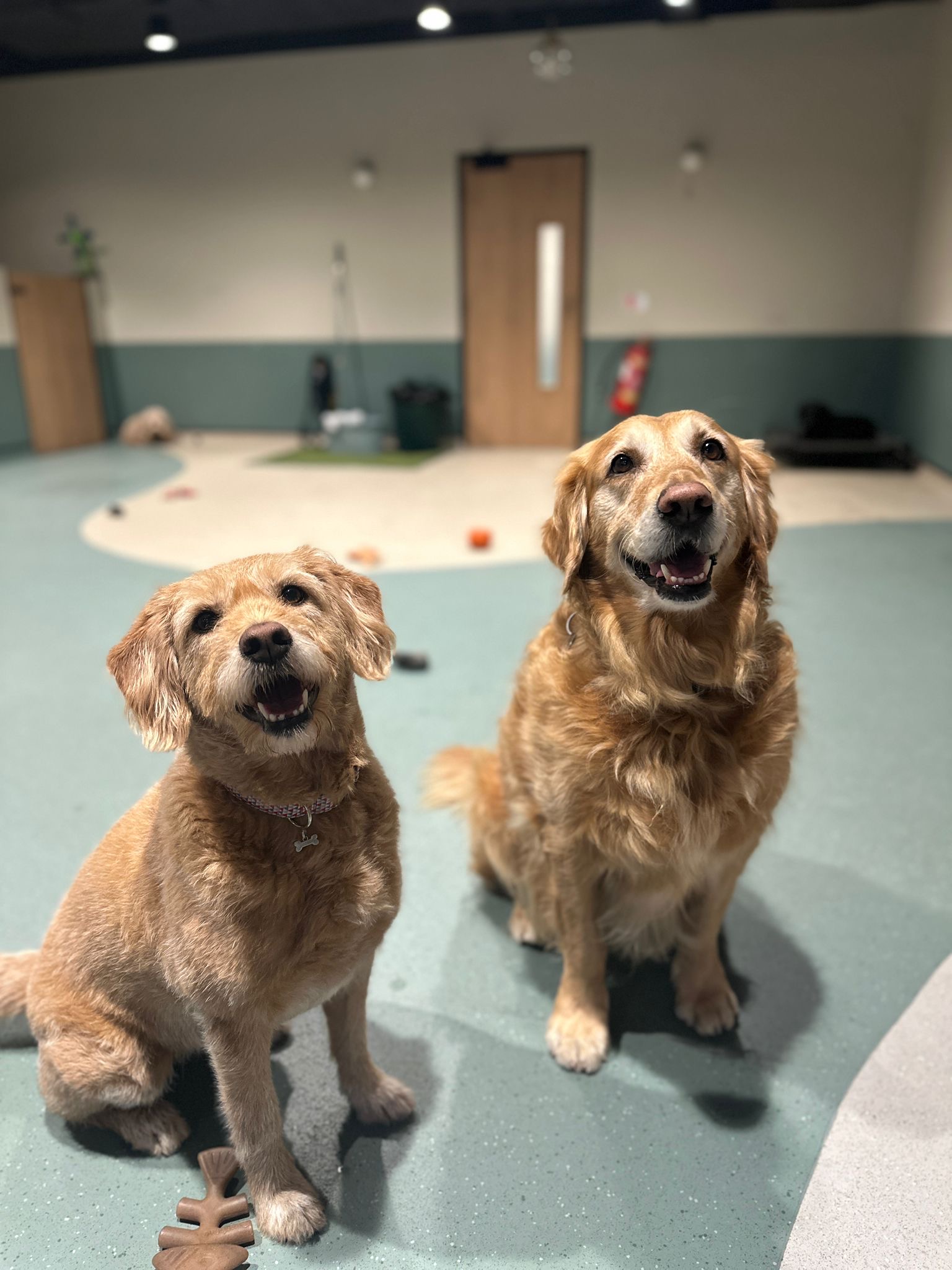 Discovery Month Membership